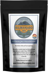 Kilimanjaro Mountaineer